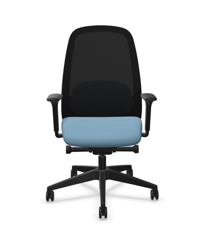 HEJis3 HJ216 office chair seen from the rear, showing the mesh frame
